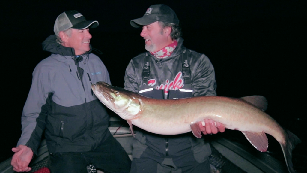 Live 2 Fish How To Properly Handle Musky Articles  Proper Musky Handling musky fishing Brent Bochek  