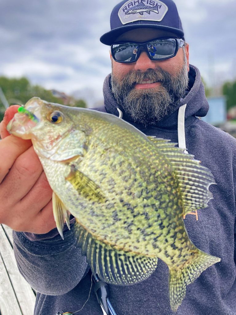 Live 2 Fish Swimbaits for Crappie Articles  