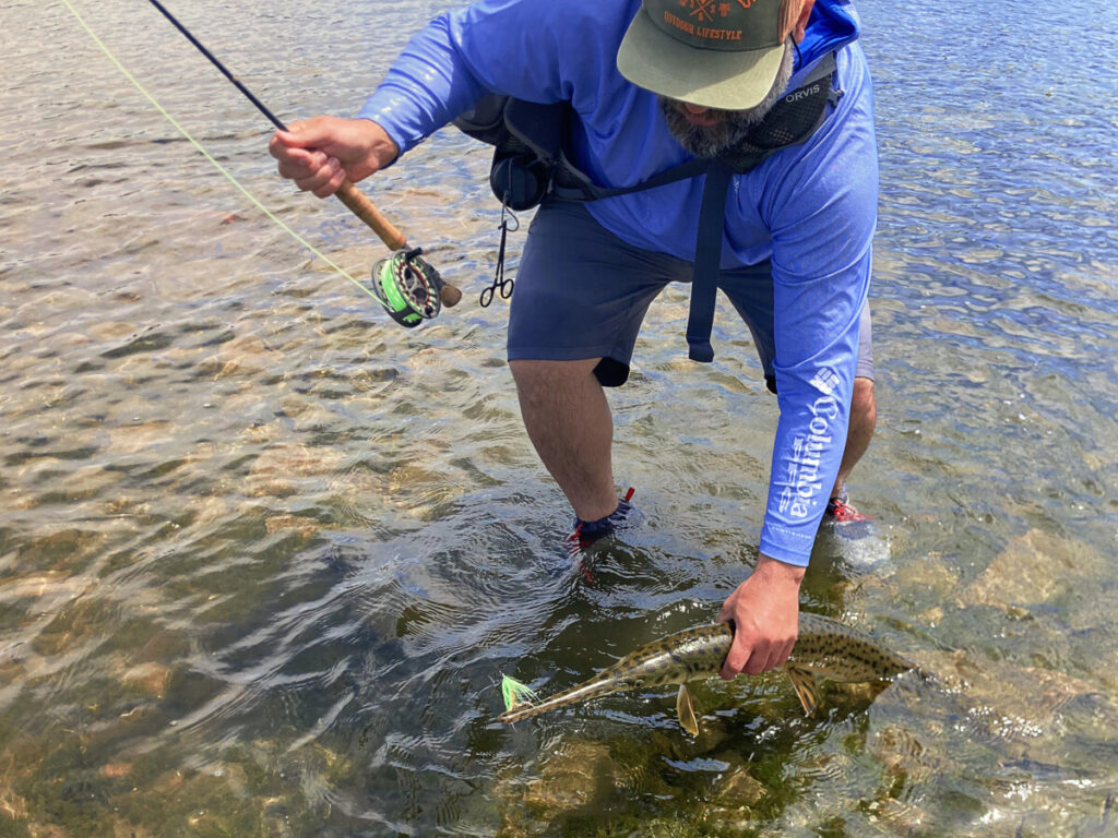 Live 2 Fish Fly Fishing For Gar in Shallow Water: The Art of Sight Fishing Articles Fly Fishing  sight fishing Fly Fishing fishing for gar  