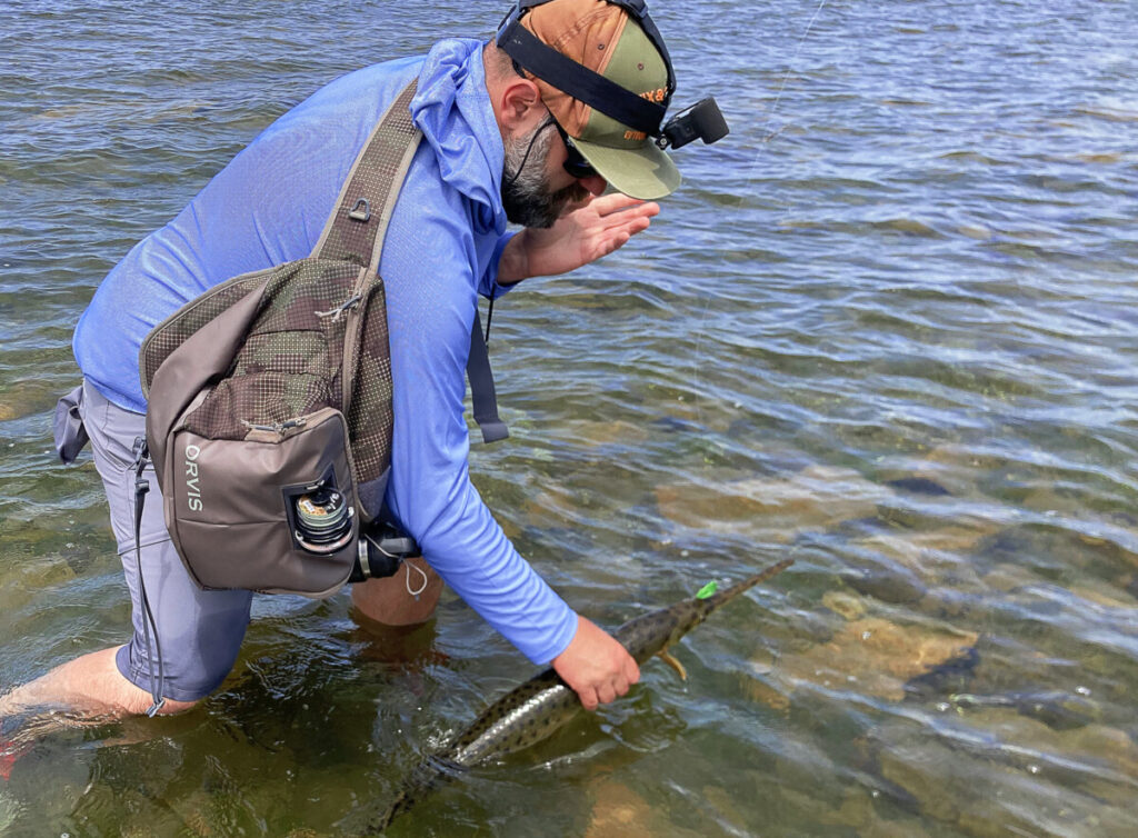 Live 2 Fish Fly Fishing For Gar in Shallow Water: The Art of Sight Fishing Articles Fly Fishing  sight fishing Fly Fishing fishing for gar 